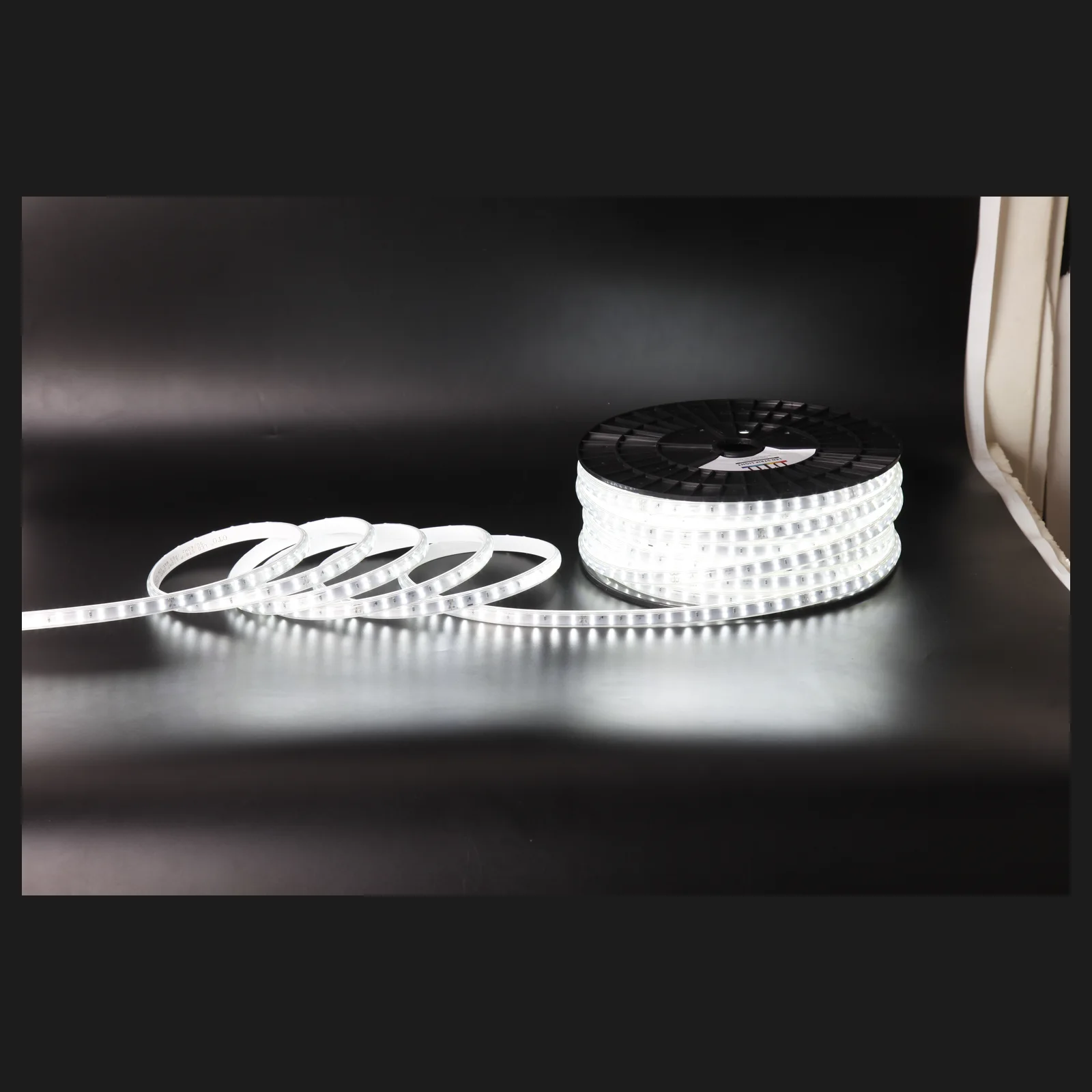 Détail du ruban LED 220V 11mm