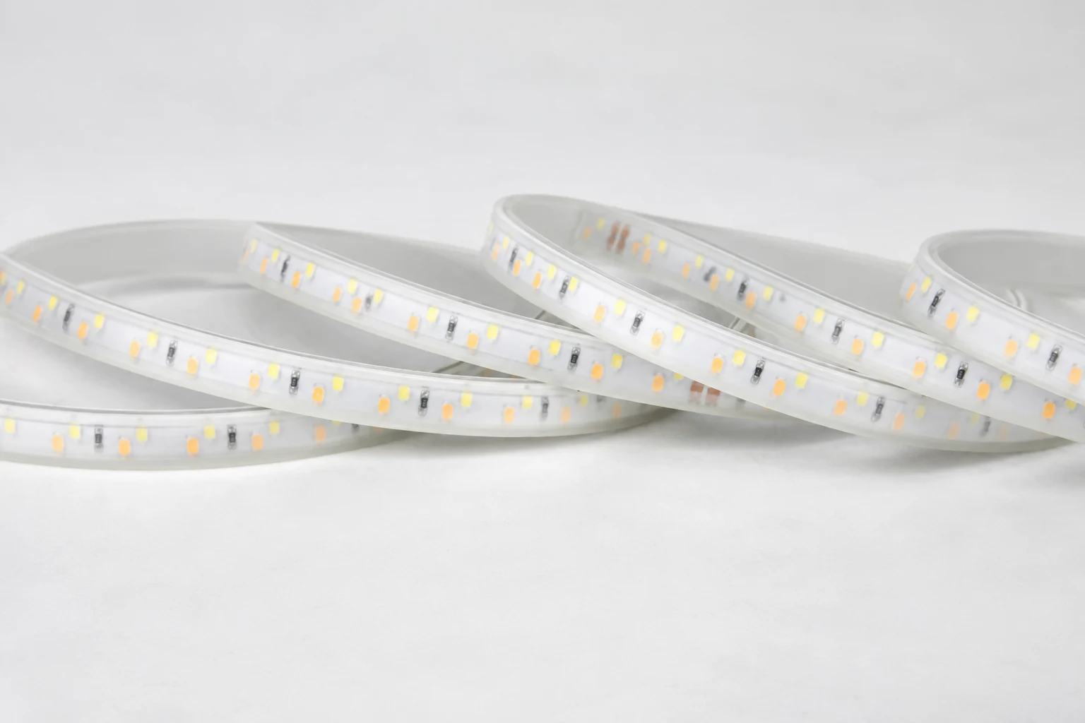 Detail of 220V 12mm LED strip